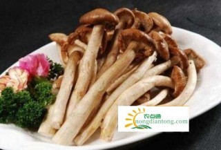 茶树菇炒肉怎么做好吃？,第2图