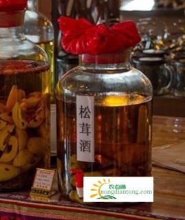 松茸可以泡酒吗？松茸泡酒的功效有哪些？,第3图