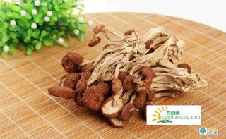 茶树菇属于野生菌吗？有哪些食用功效？,第2图