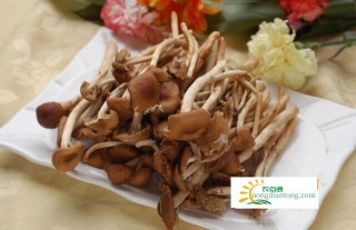 茶树菇和木耳能同吃吗？,第2图