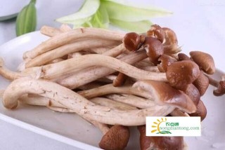 不能与茶树菇同食的食物，什么人不适宜吃茶树菇？,第4图