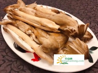 荔枝菌是鸡枞菌吗？有什么功效作用,第3图