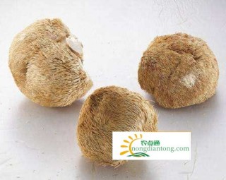 猴头菇怎么有苦味？怎么去除猴头菇的苦味？,第1图