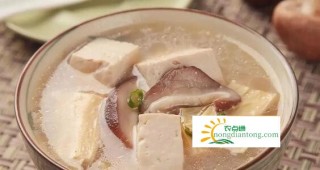 茶树菇和豆腐做汤,第2图