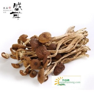 皮肤过敏能吃茶树菇吗,第2图