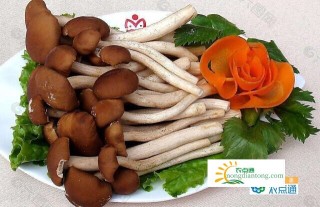 食用茶树菇有哪些禁忌？怎样吃更好？,第3图