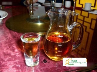 黑松露泡酒配方大全,第2图