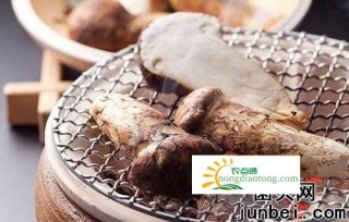 烤松茸怎么烤才会更加美味？,第4图