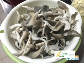 孕妇能吃平菇吗，平菇的功效与作用,第3图