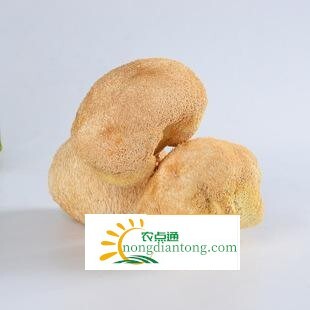 怎样泡发干猴头菇更好更快？,第2图