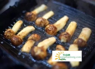 野生松茸菌可以生吃吗？怎样吃更好？,第2图