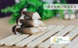 孕妇能吃鸡枞菌吗？,第2图