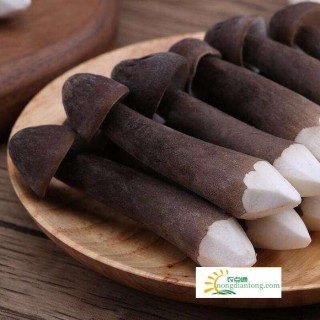 黑皮鸡枞菌的功效,第3图