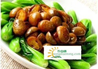 鸡腿菇和草菇可以同食吗？鸡腿菇的做法,第4图