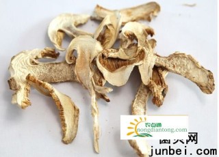 干松茸的价格行情,第1图