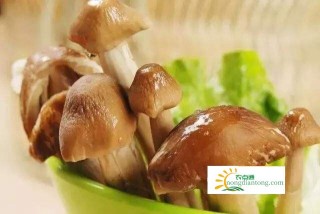 吃鸡枞菌有什么好处？那些人更适合吃鸡枞菌,第5图