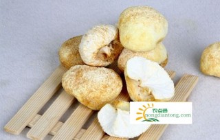 猴头菇炖鸡怎么做好吃，猴头菇的介绍,第1图