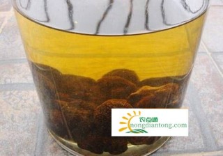 松露泡酒有什么作用？喝黑松露泡酒的好处,第2图