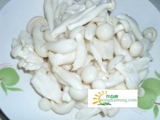 白玉菇功效是什么？食用禁忌有哪些？,第3图