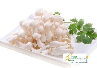 白玉菇能和花菜一起炒吗,第1图