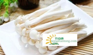 海鲜菇用焯水吗？海鲜菇焯水的原因是什么？,第4图