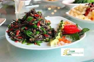 常食用云南干巴菌的五大好处。,第3图