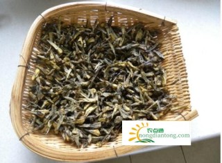 干巴菌有沙怎么办？干巴菌的生长环境介绍,第1图