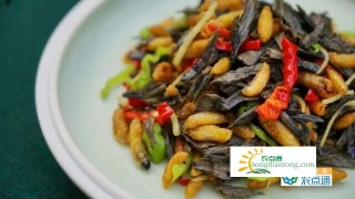 干巴菌的功效与作用及食用方法,第6图