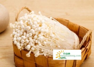 金针菇的减肥做法大全，金针菇的功效,第1图