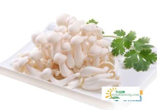 白玉菇需要焯水吗？白玉菇该怎么保鲜？,第2图