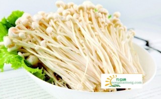 现在香菇种植方法,第3图