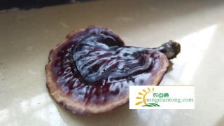 灵芝历史典故—慈禧用灵芝治好了李鸿章的咳喘顽疾,第3图