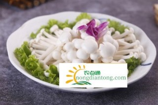 紫菜白玉菇汤,第3图