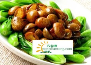 孕妇可以吃草菇吗？吃草菇有哪些好处？,第1图