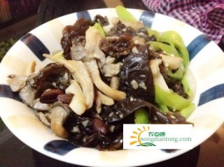 木耳和菌类可以同吃吗,第3图