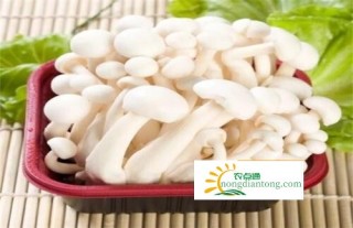 经期能吃白玉菇吗,第1图