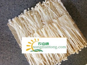 红油麻辣金针菇的做法,第3图