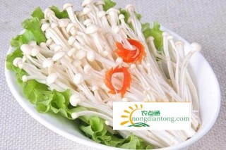 金针菇与冬菇(香菇)可抗癌,第2图