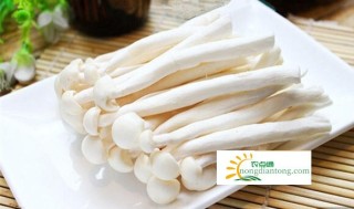 鲫鱼豆腐海鲜菇汤,第2图