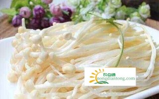 山药可以和金针菇一起吃吗？,第1图