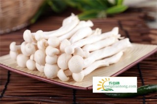 白玉菇炒瘦肉怎样做好吃？,第1图