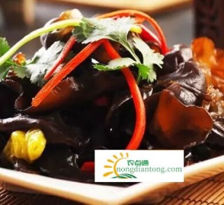 木耳禁忌与什么同食,第3图