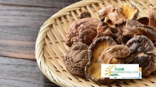 草菇是香菇吗,第3图