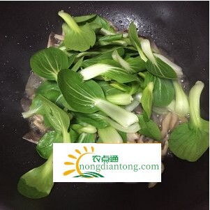 平菇炒青菜的做法大全，平菇适合和什么一起吃,第4图