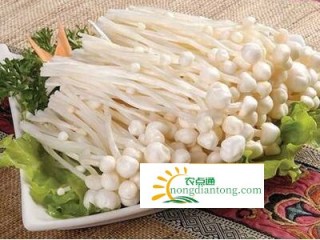 金针菇是发物吗？吃金针菇有什么好处？,第3图