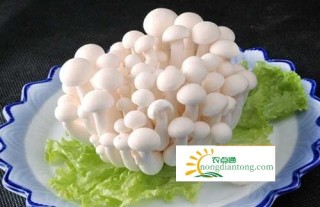 天津校企产学研合作结出新菌菇,第3图