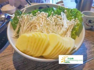 金针菇属于哪种性质的食用菌？,第1图