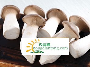 杏鲍菇要不要焯水，焯水有什么好处,第3图