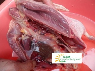 木耳不能和什么同吃？吃木耳一定要远离这几种食物,第5图