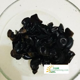 痛风病人应该多食黑木耳,第1图